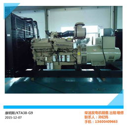 康明斯供應(yīng)商 多圖 毛淡錦康明斯 cummins發(fā)電機(jī)產(chǎn)品
